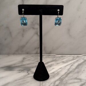 NWOT Blue Crystal Drop Earrings - Women Jewelry